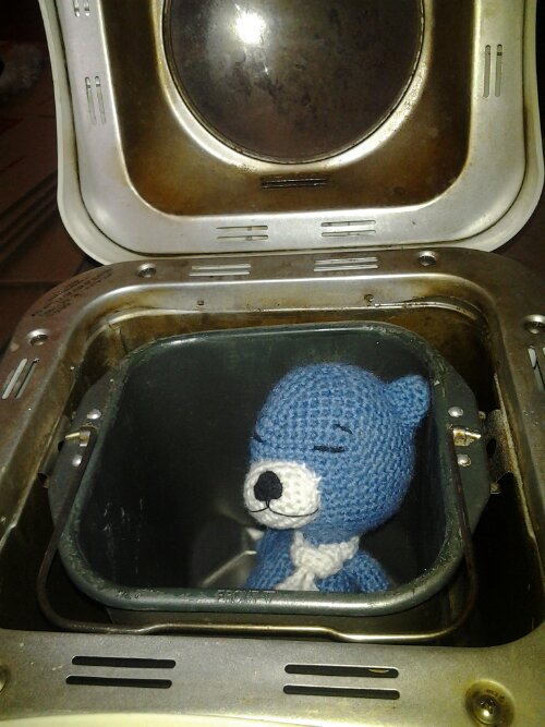 IMG_20130421_112136.jpg image