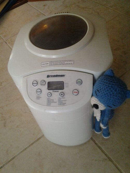 IMG_20130421_112230.jpg image