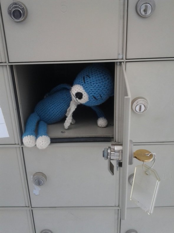 IMG_20131122_094600.jpg image