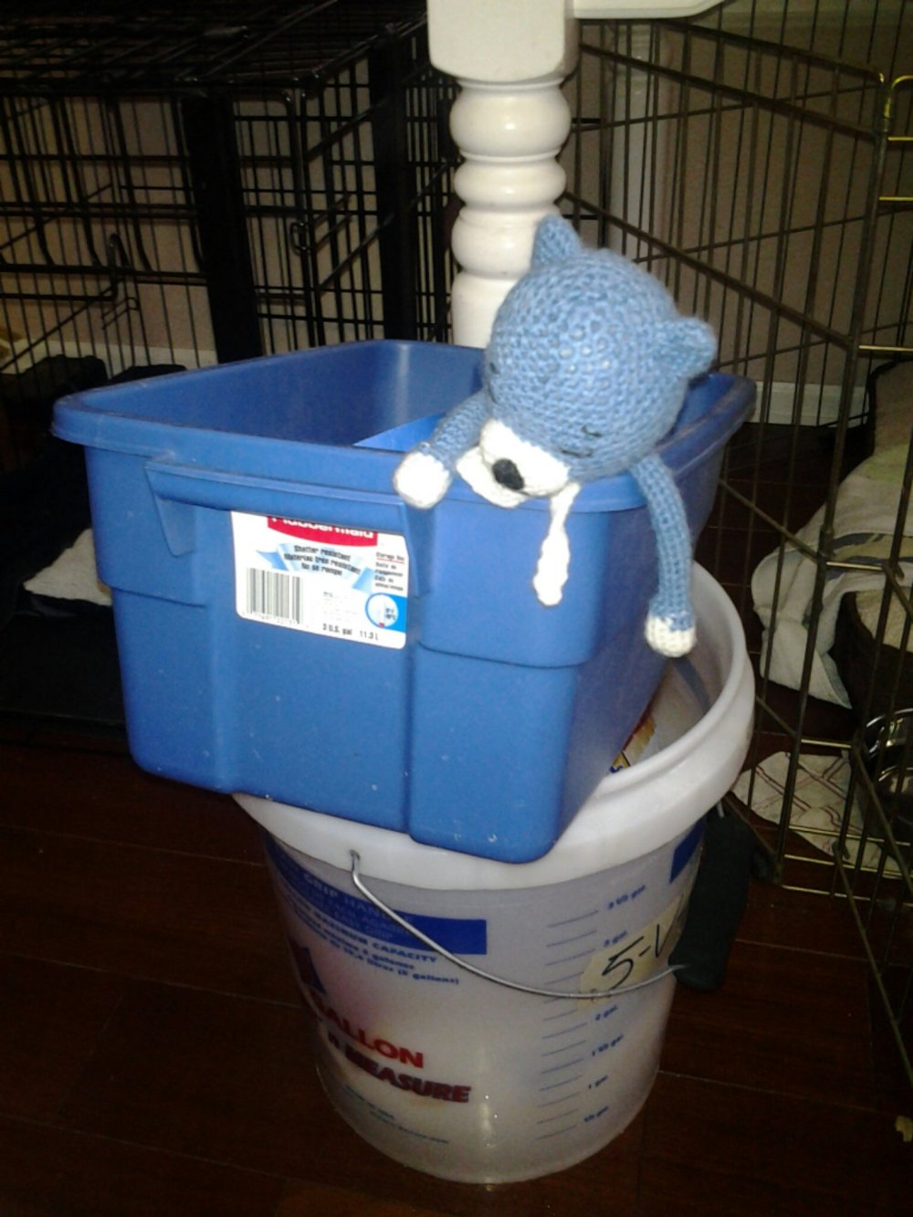 IMG_20131125_110203.jpg image