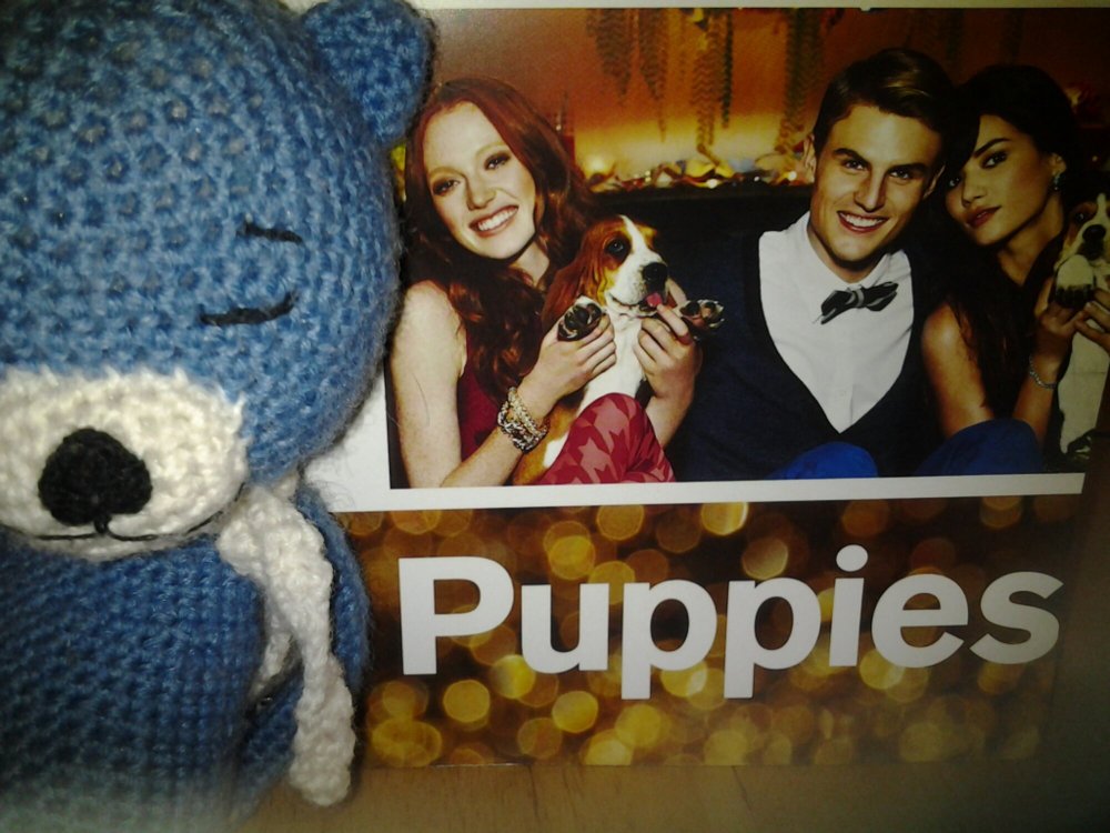 wp-1385142158561.jpg image