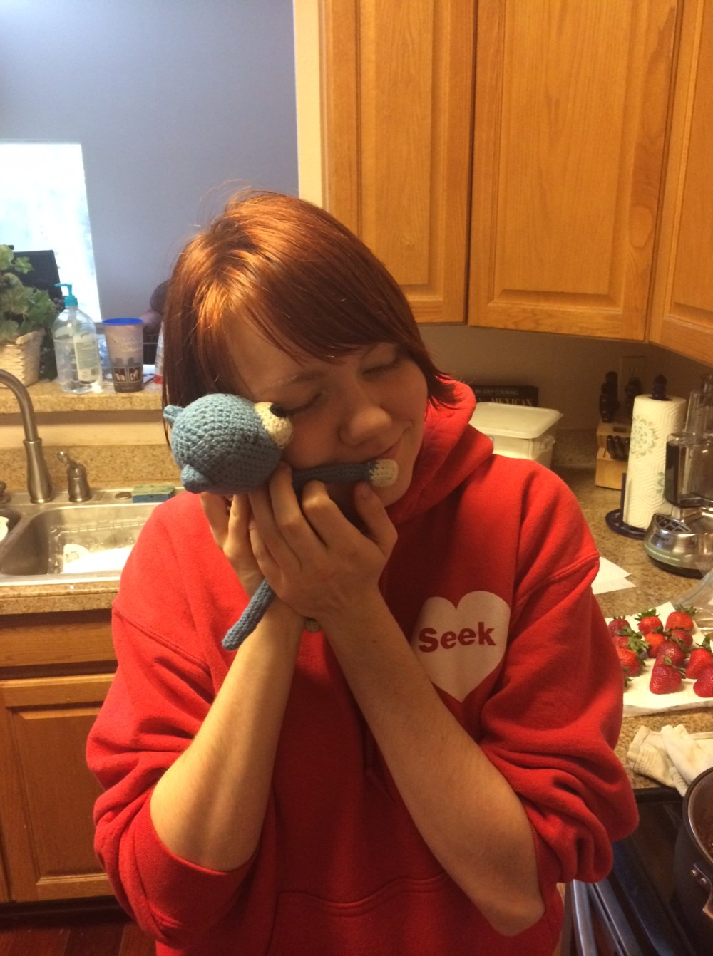 Blue Cat and his Crochet Mom