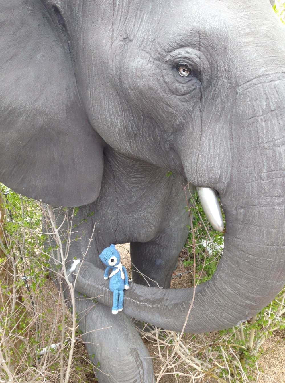 Elephants are really nice...