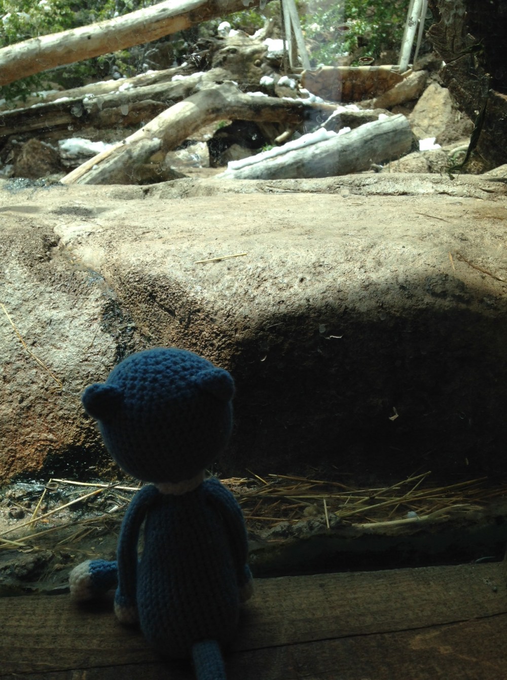 There really are river otters under that rock.