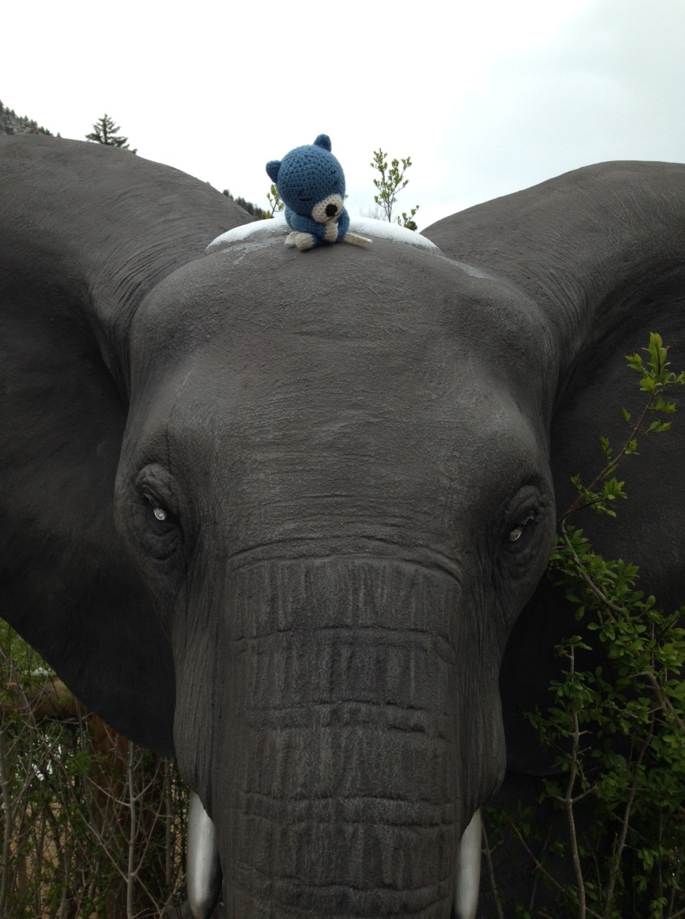 And elephants are really big!