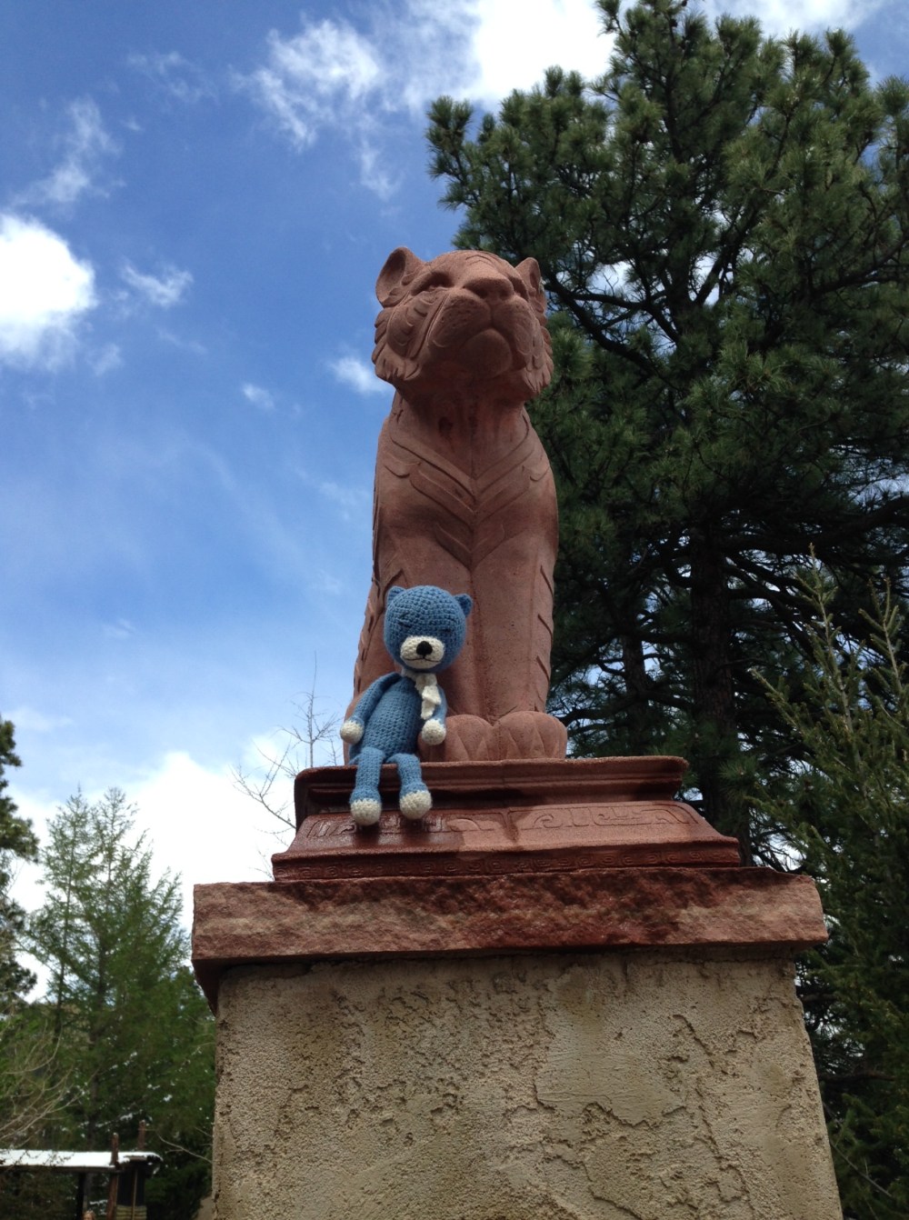 Blue Cat wants to grow up to be like this cat!