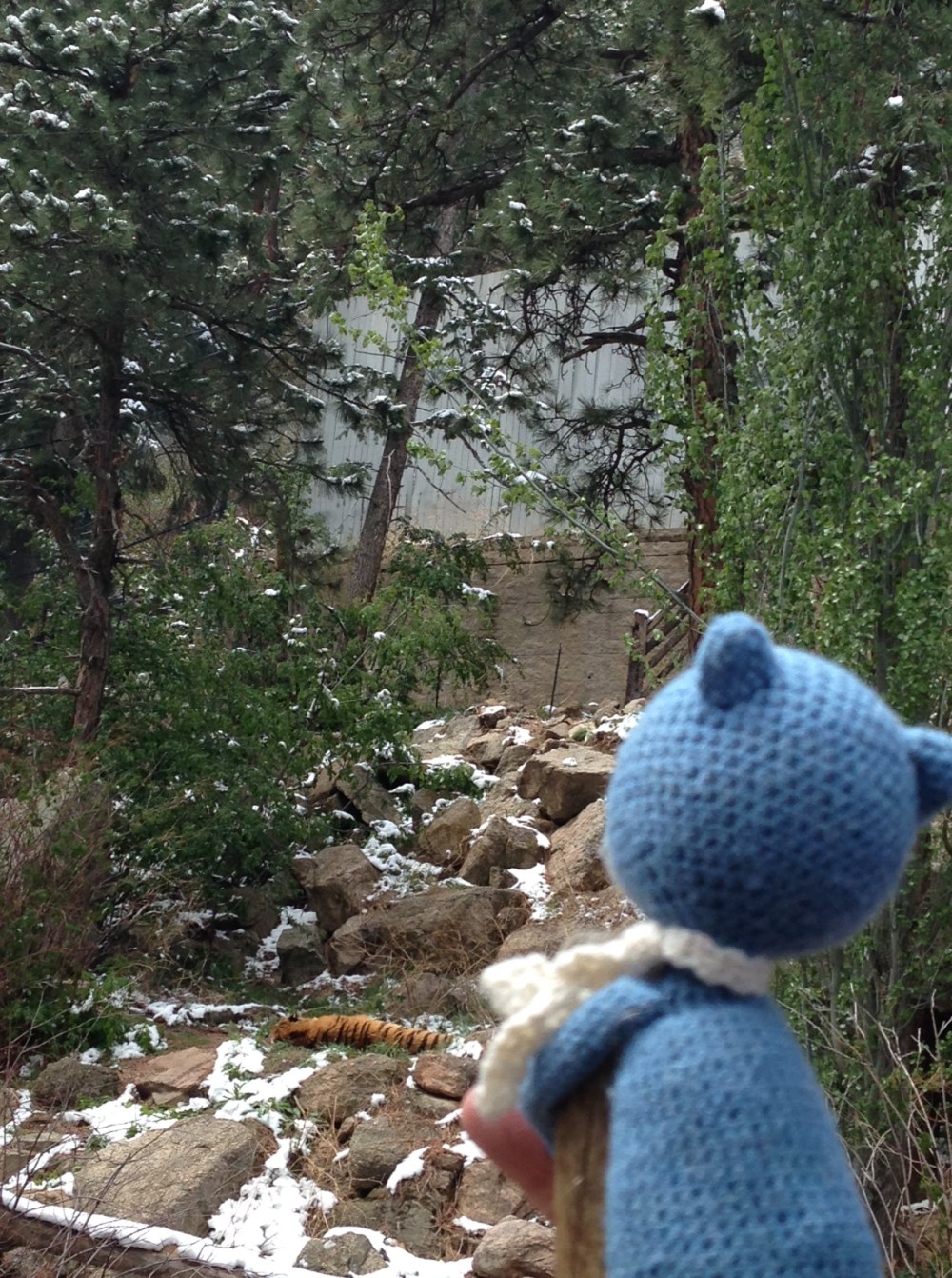 Let sleeping tigers lie...