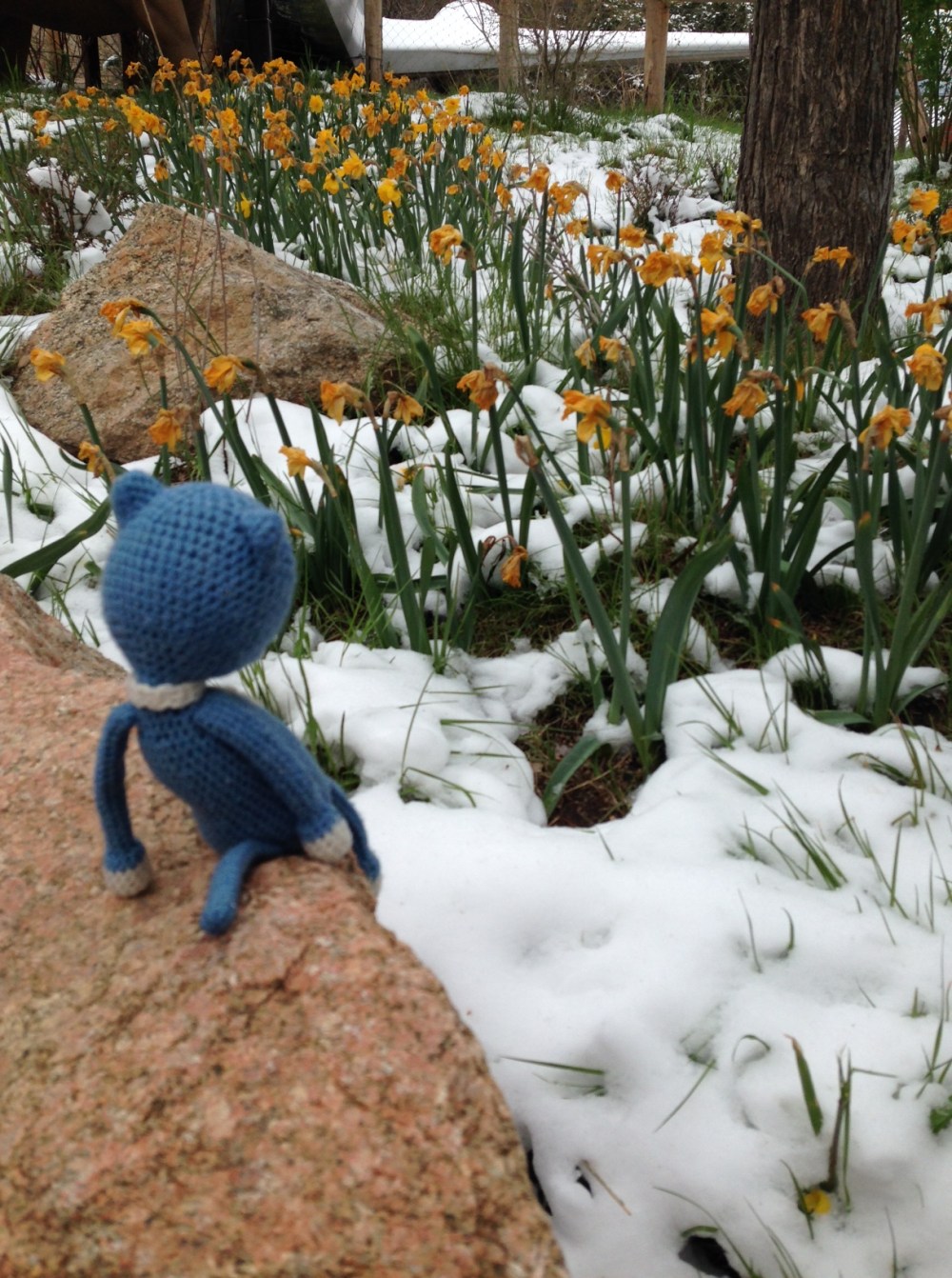 Colorado in the Spring!