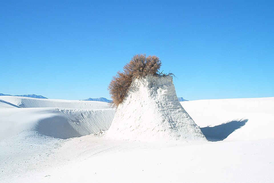 A solitary white mound surrounded by sand, topped with a small bush, against a clear blue sky.