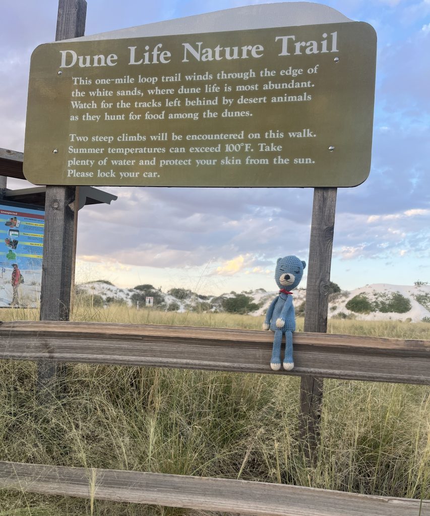 Sign for Dune Life Nature Trail with a description of the trail and safety tips, featuring a blue stuffed bear sitting on a wooden fence in a desert setting.